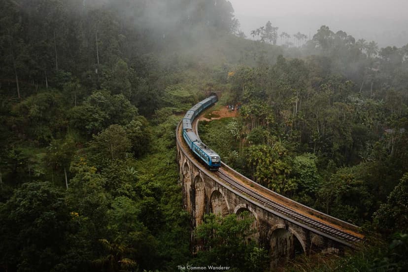 Another view of Ella