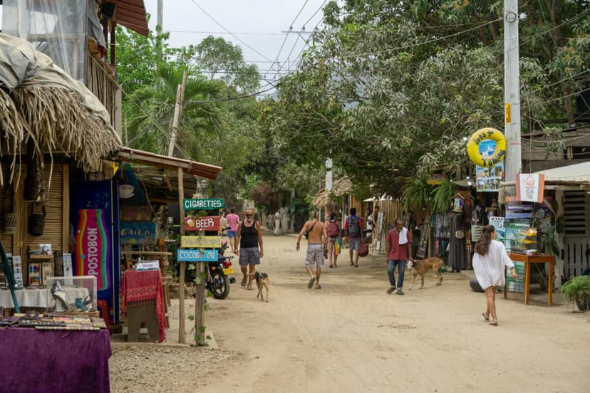 Another view of Palomino