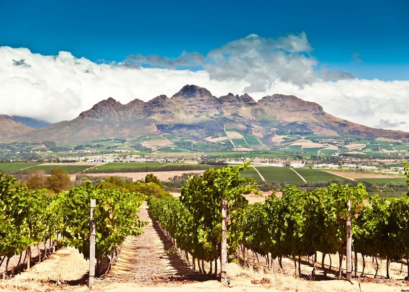 Stellenbosch