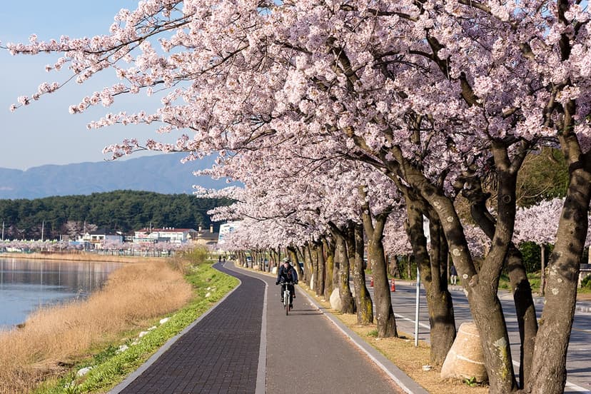 Another view of Gangneung