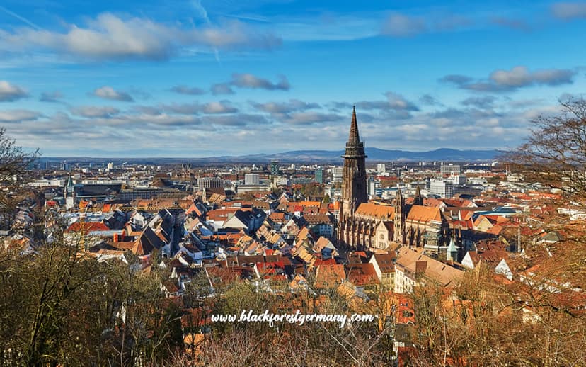 Another view of Freiburg im Breisgau