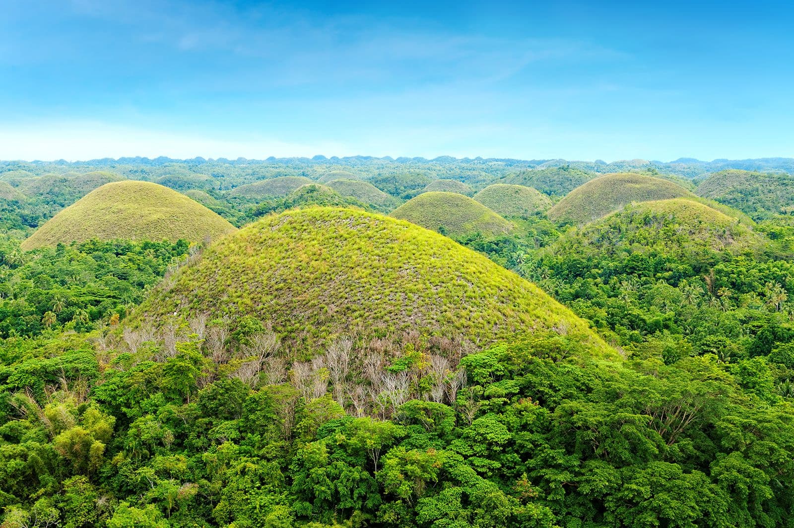 Image of Bohol