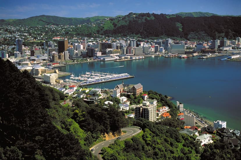 Another view of Wellington