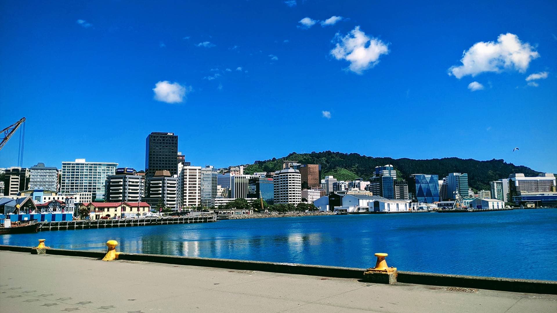 Image of Wellington